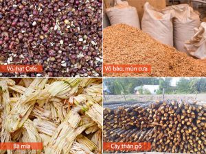 Một số nguyên liệu sản xuất than nướng không khói phổ biến ở nước ta